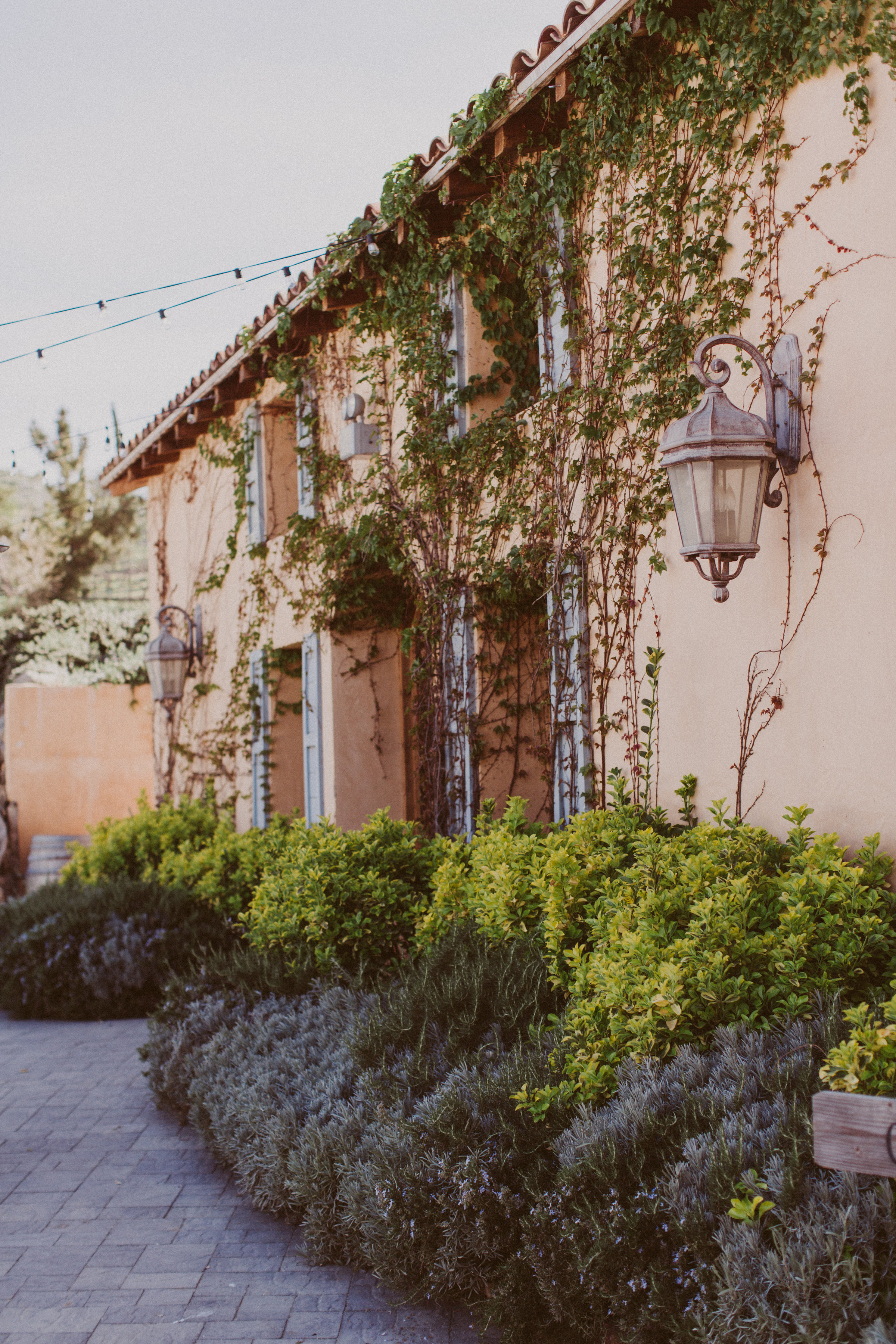 Milagro Farm Winery - Blog - Elisa & Logan // March 2016 Milagro Farm Winery - Blog - Elisa & Logan // March 2016