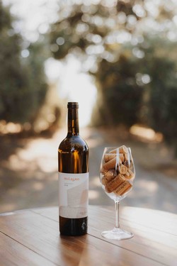 2019 Chardonnay