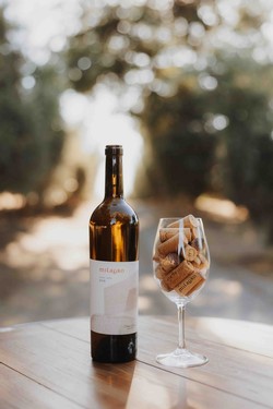 2019 Pinot Gris