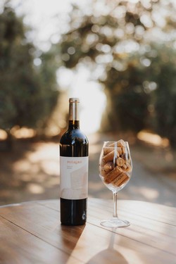 2020 Merlot