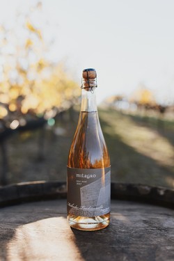 2017 Sparkling Rosé