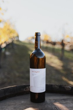 2019 Chardonnay