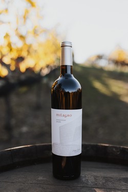 2020 Sangiovese
