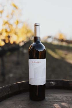 2020 Merlot