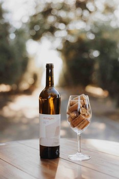 2019 Pinot Gris