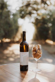 2020 Sauvignon Blanc