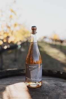 2017 Sparkling Rosé