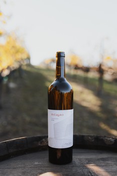 2019 Chardonnay