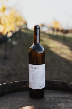 2019 Pinot Gris