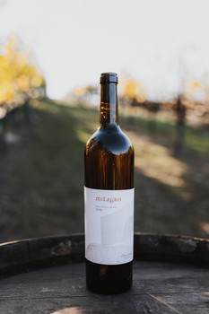 2019 Sauvignon Blanc