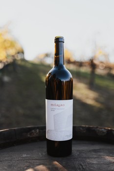 2020 Cabernet Sauvignon