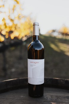 2020 Sangiovese