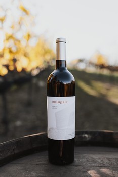 2020 Merlot