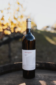2019 Barbera